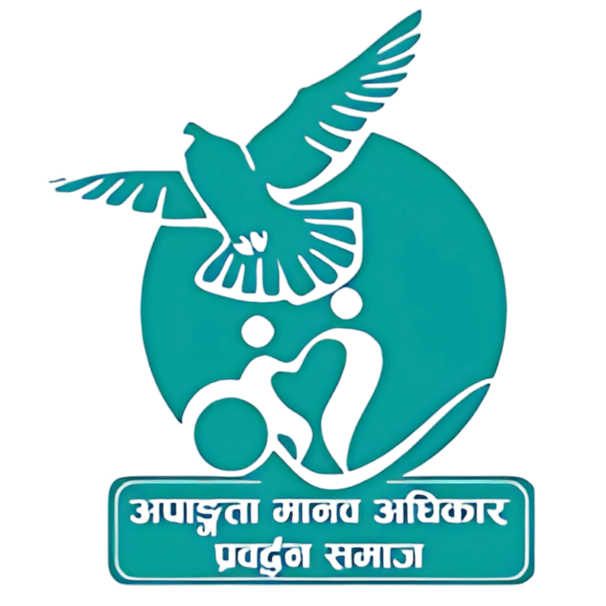 Disability Human Rights Promotion Society making the rights real for persons with disabeltiies Logo