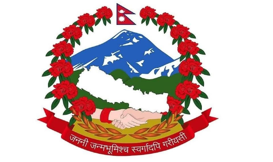 Partner Organization Logo